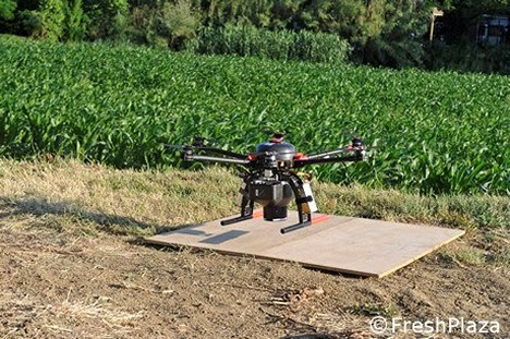 drone-in-azione-in-agricoltura